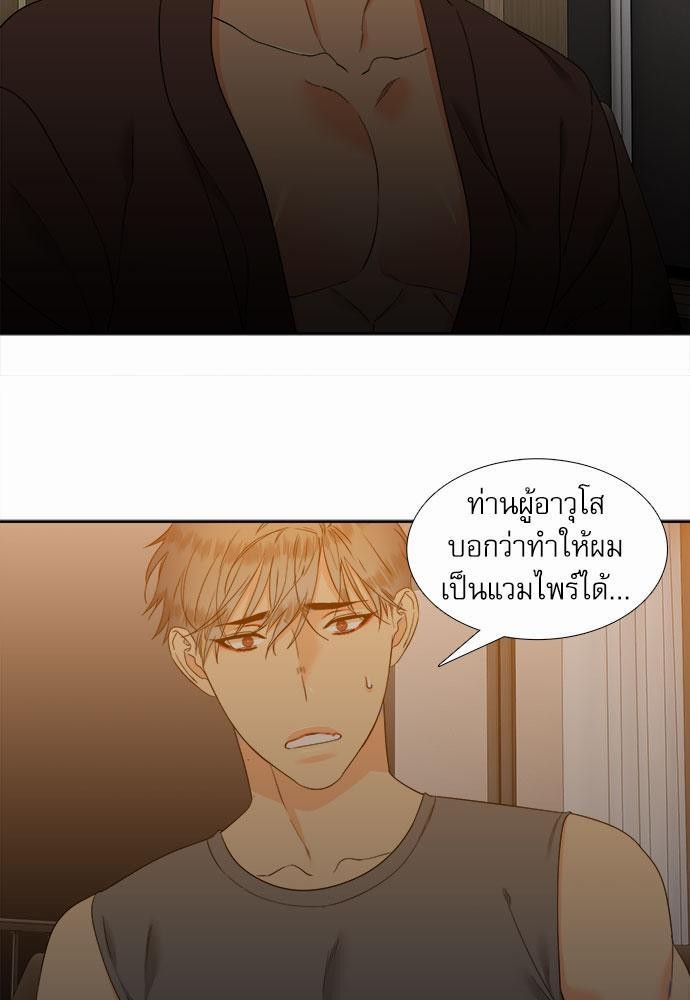 Blood Link เธ•เธญเธเธ—เธตเน41 (15)